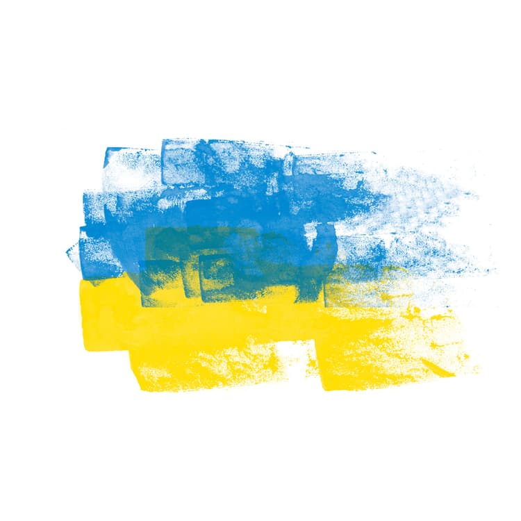 Ukraine flag